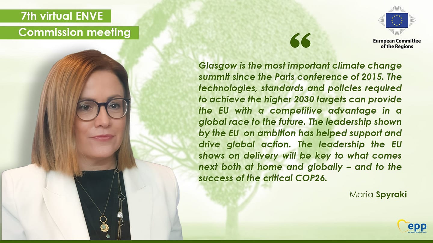  7th virtual ENVE Commission meeting