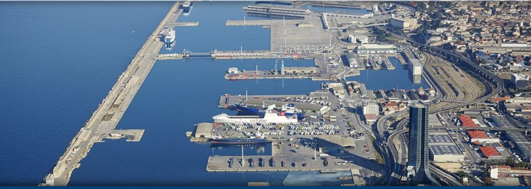 Maritime Transport Decarbonization and the possibilities of Renewable Gas and Hydrogen