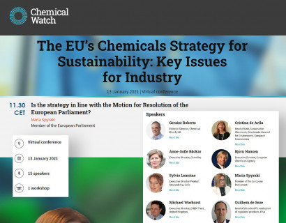 The EU’s Chemicals Strategy for Sustainability: Key Issues for Industry 