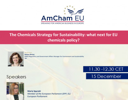 AmCham EU