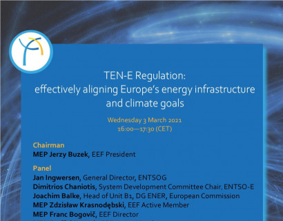 TEN-E Regulation: effectively aligning Europe's energy infrastructure and climate goals.