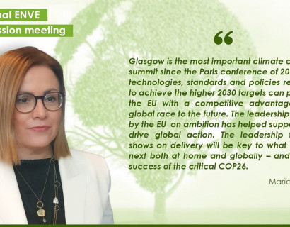 7th virtual ENVE Commission meeting  